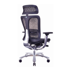 Ergonomic Desk Chairs & Office Chairs