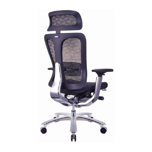 Ergonomic Desk Chairs & Office Chairs