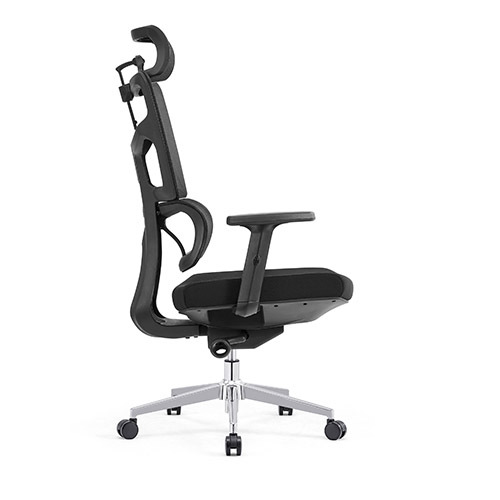 Ergonomic Office Chairs