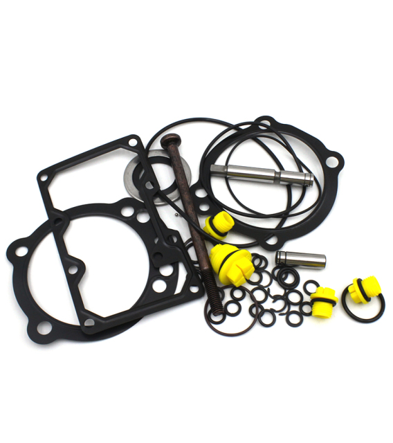 C7-C9 C7/C9 Fuel Pump Repair Parts Gasket Kit 891825 891825-C7/C9