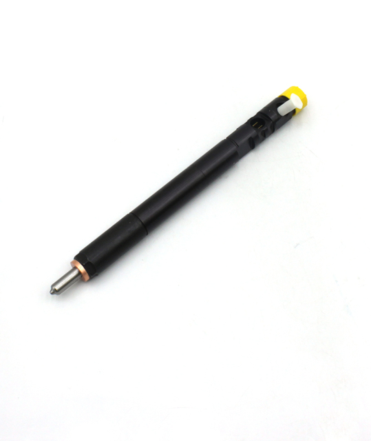 Auto Parts Engine Diesel Injector EJBR04701D for Car Ssangyong