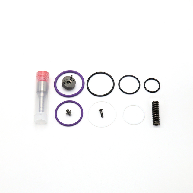 Repair Kits F00041N019 F00041N022 F00041N023 F00041N024 F00041N025 F00041N026