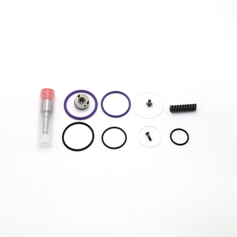 Diesel Fuel Injection Repair Kits F00041N033,https://www.pandamanstore.com,Diesel Fuel Injection Repair Kits F00041N033
