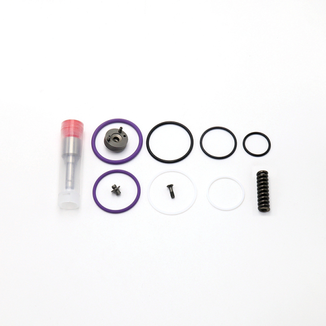 Repair Kits F00041N019 F00041N022 F00041N023 F00041N024 F00041N025 F00041N026