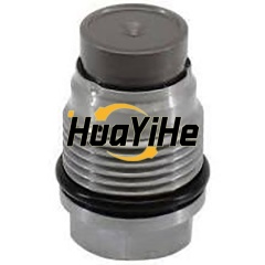 Common rail pressure control valve 1110010019