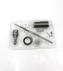 High Quality New Fuel Injector Repair Kits 295050-1950  295050-1760  295050-1430  295050-1240  295050-1060  295050-1151  295050-0331  295050-0920  295050-1381（+8618763502280）