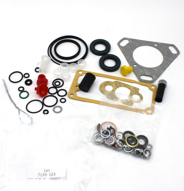 3010242 High quality advantage to provide brand new diesel repair kit made in China (WhatsApp:+8616678177205)