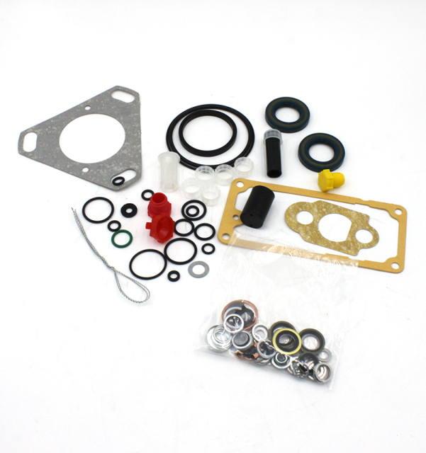 3010242 High quality advantage to provide brand new diesel repair kit made in China (WhatsApp:+8616678177205)
