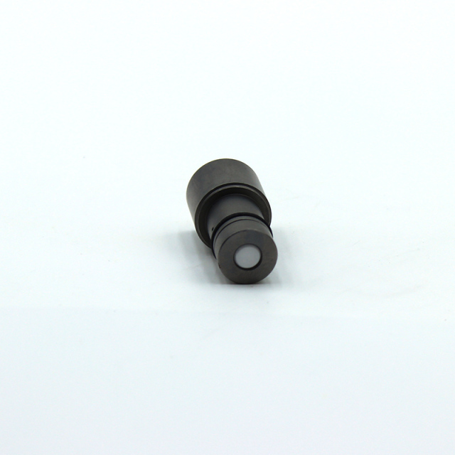 P228 228 Common Rail Injector Pump Plunger 134152-4820,https://www.pandamanstore.com,P228 228 Common Rail Injector Pump Plunger 134152-4820