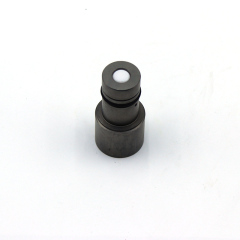 P228 228 Common Rail Injector Pump Plunger 134152-4820,https://www.pandamanstore.com,P228 228 Common Rail Injector Pump Plunger 134152-4820
