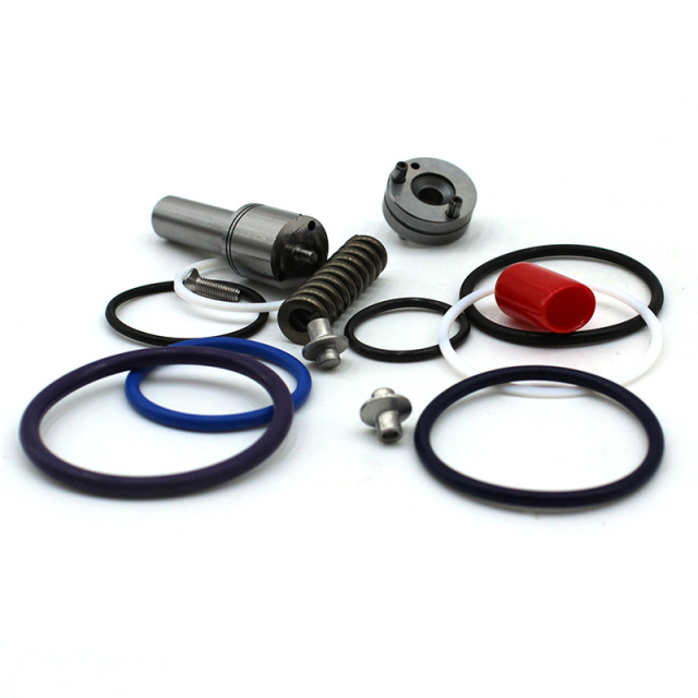 Common Rail DRV Valve Overhaul Repair Kit F00041N051, replacement repair kit for diesel pressure regulator valves,https://www.pandamanstore.com,Common Rail DRV Valve Overhaul Repair Kit F00041N051, replacement repair kit for diesel pressure regulator valves