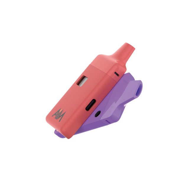 Magnetic Two-Piece Disposable Dab Pen