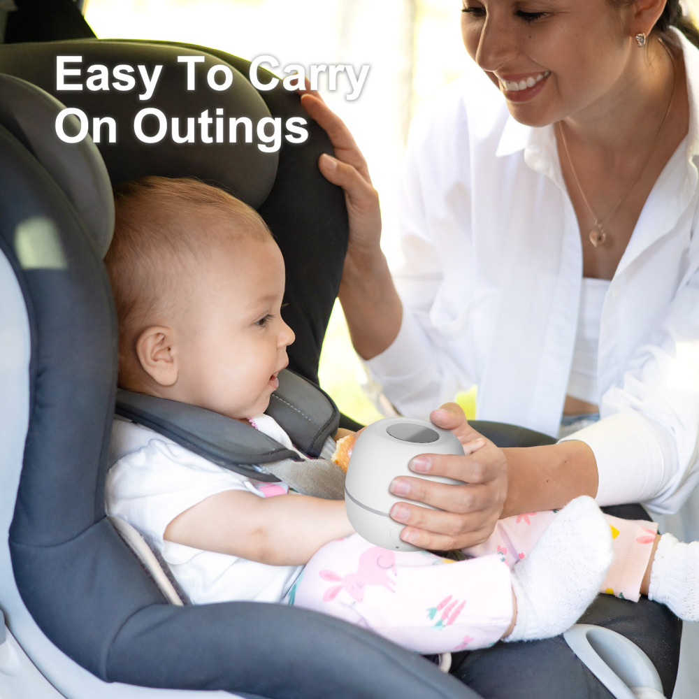 Portable Pacifier Sanitizer