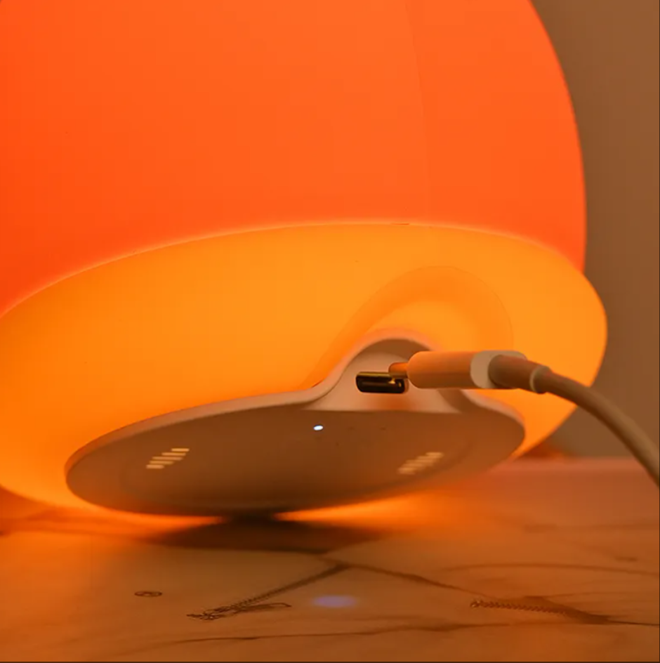 Factory Wholesale Silicone LED Night Light Rechargeable Color Changing Animal Night Light Touch Control Sleeping Night Lights