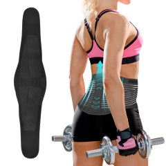 CK-SYD-03 Strong Back Support Waist Belt with Spring Insert in middle