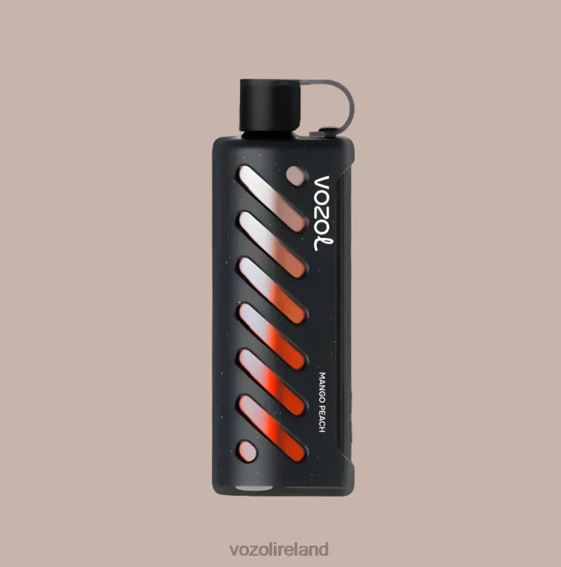 VOZOL Gear Shisha 25000 disposable vape