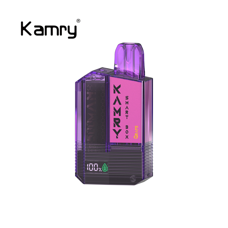 Kamry Smart Box 600 Puffs Disposable Vape-ELFBARVAPE