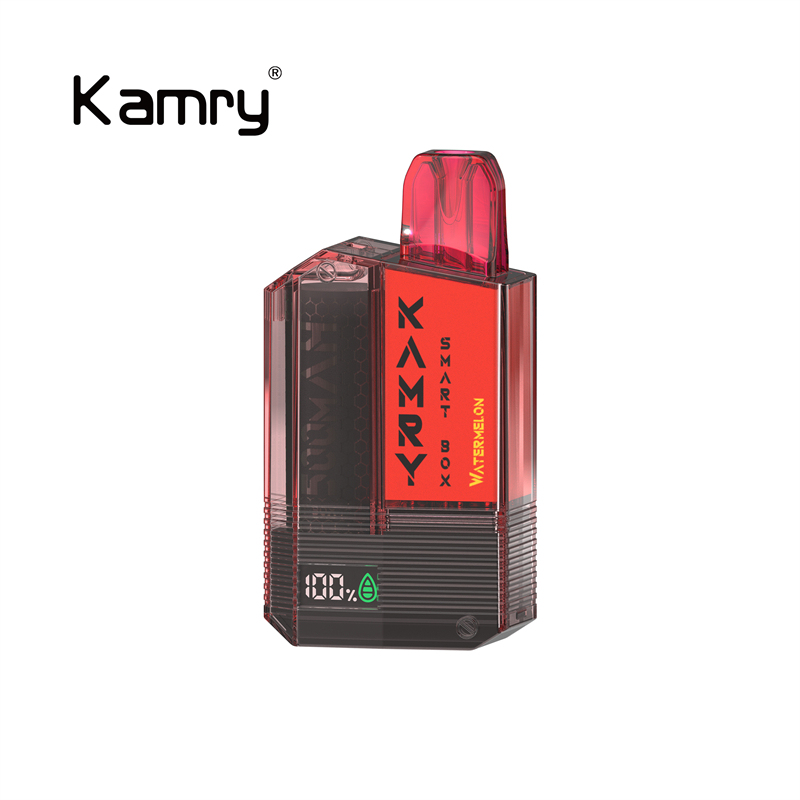 Kamry Smart Box 600 Puffs Disposable Vape-ELFBARVAPE