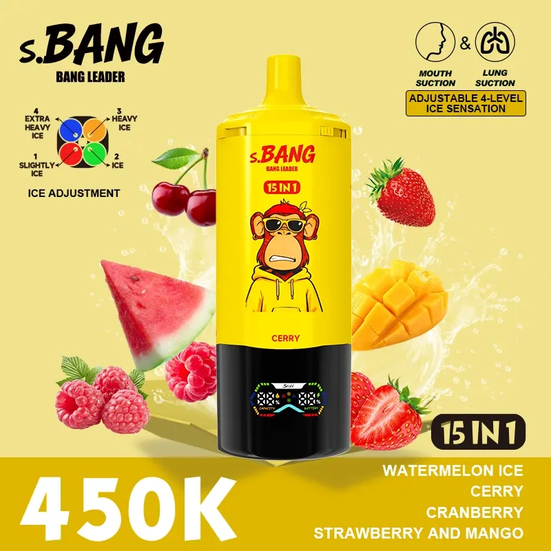 Bang Leader 450K Puffs 15-in-1 Disposable Vape