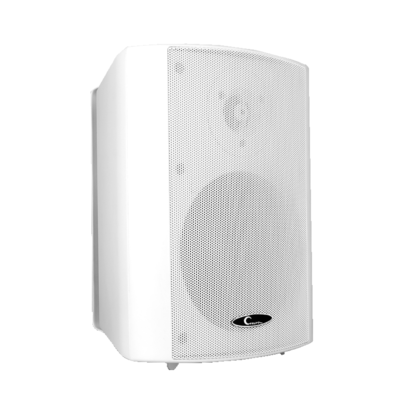 CL611  Wall Mounted Speaker PA System Hanging Speaker is suitable for conference system, security system