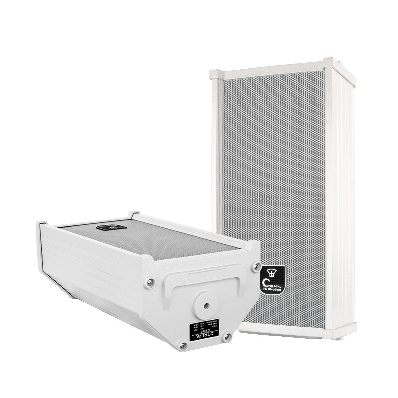 CS381 Waterproof Speaker Column - High Performance for Indoor and Outdoor Use 10W