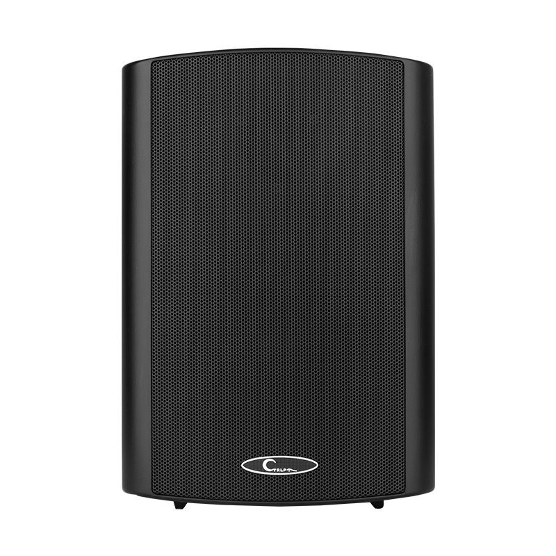 CL611  Wall Mounted Speaker PA System Hanging Speaker is suitable for conference system, security system