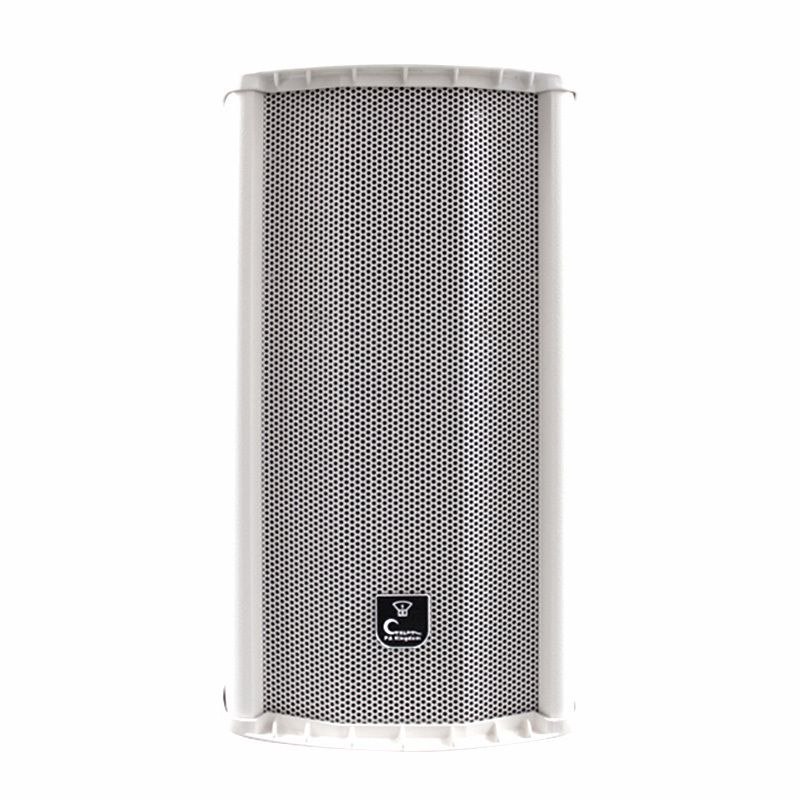 CS391 Professional Waterproof Speaker Column - Premium Sound for Indoor and Outdoor Use 30W