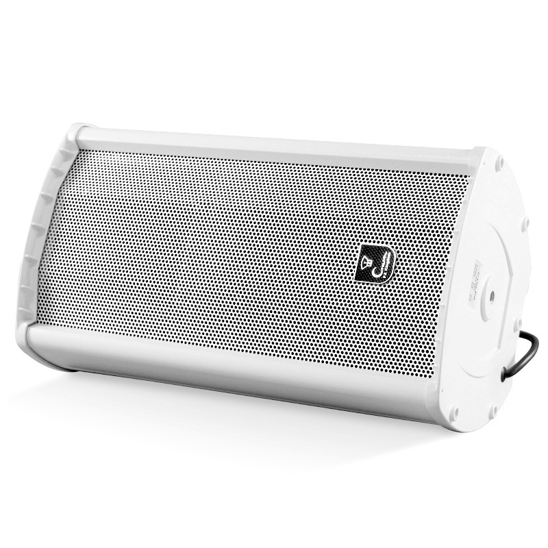 CS391 Professional Waterproof Speaker Column - Premium Sound for Indoor and Outdoor Use 30W