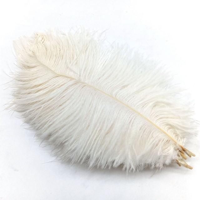 White Ostrich Feathers