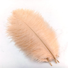 Champagne Ostrich Feathers