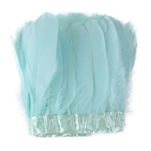Mint Goose Feathers Trims