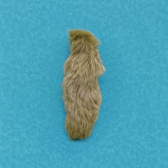 40cm Olivine Green Real Foxtail Accessories