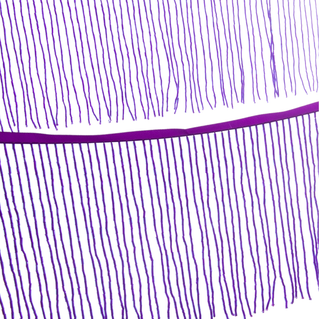 6 Inch 15cm Purple Beaded Fringe Trim