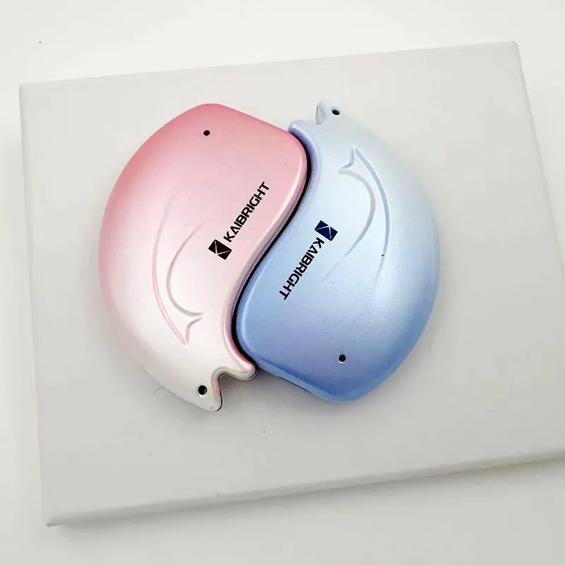 ポータブルSSD PSSD-F100