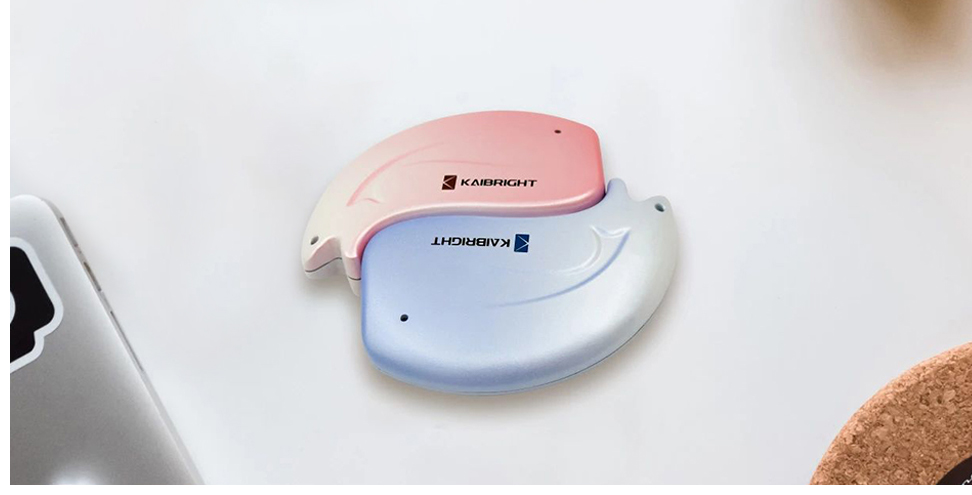 ポータブルSSD PSSD-F100