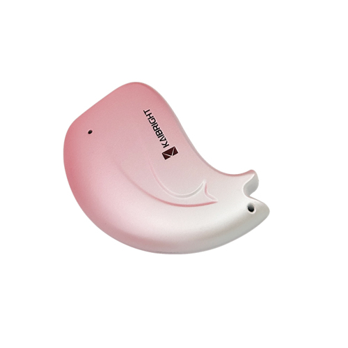 ポータブルSSD PSSD-F100