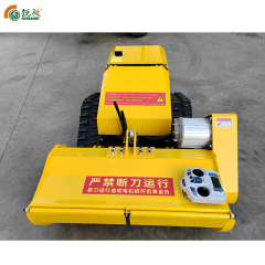All-terrain Electric Automatic Remote-controlled Lawn Mower RZFGGC-800L