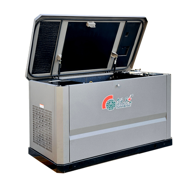 Silent Gas Generator RZ30000-LPG/NG - 18-26KW 230V/400V 50Hz/60Hz