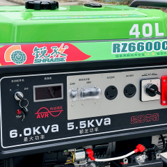 RZ6600CXE3   6KVA   Dual-voltage Equal-power Portable Gasoline Generator