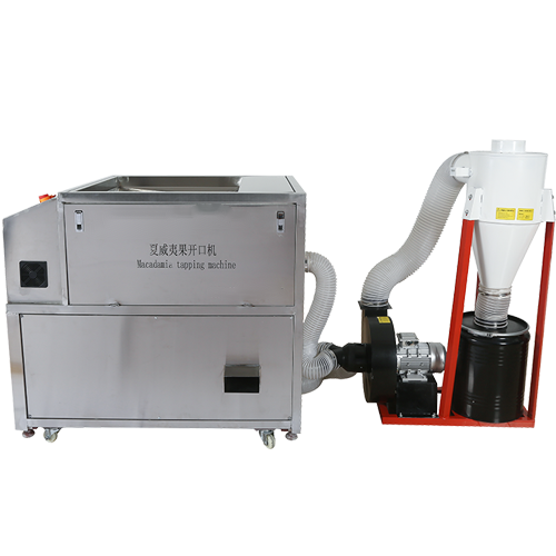 Nut opener and dust collector