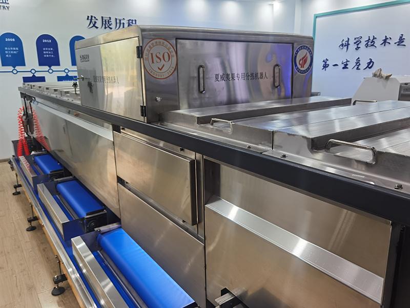 Special sorting robot for xiaweiyiguo