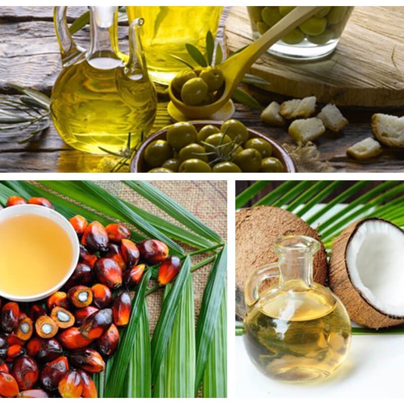 Commercial coconut palm avocado olive oil machine  factory line  seed oil press