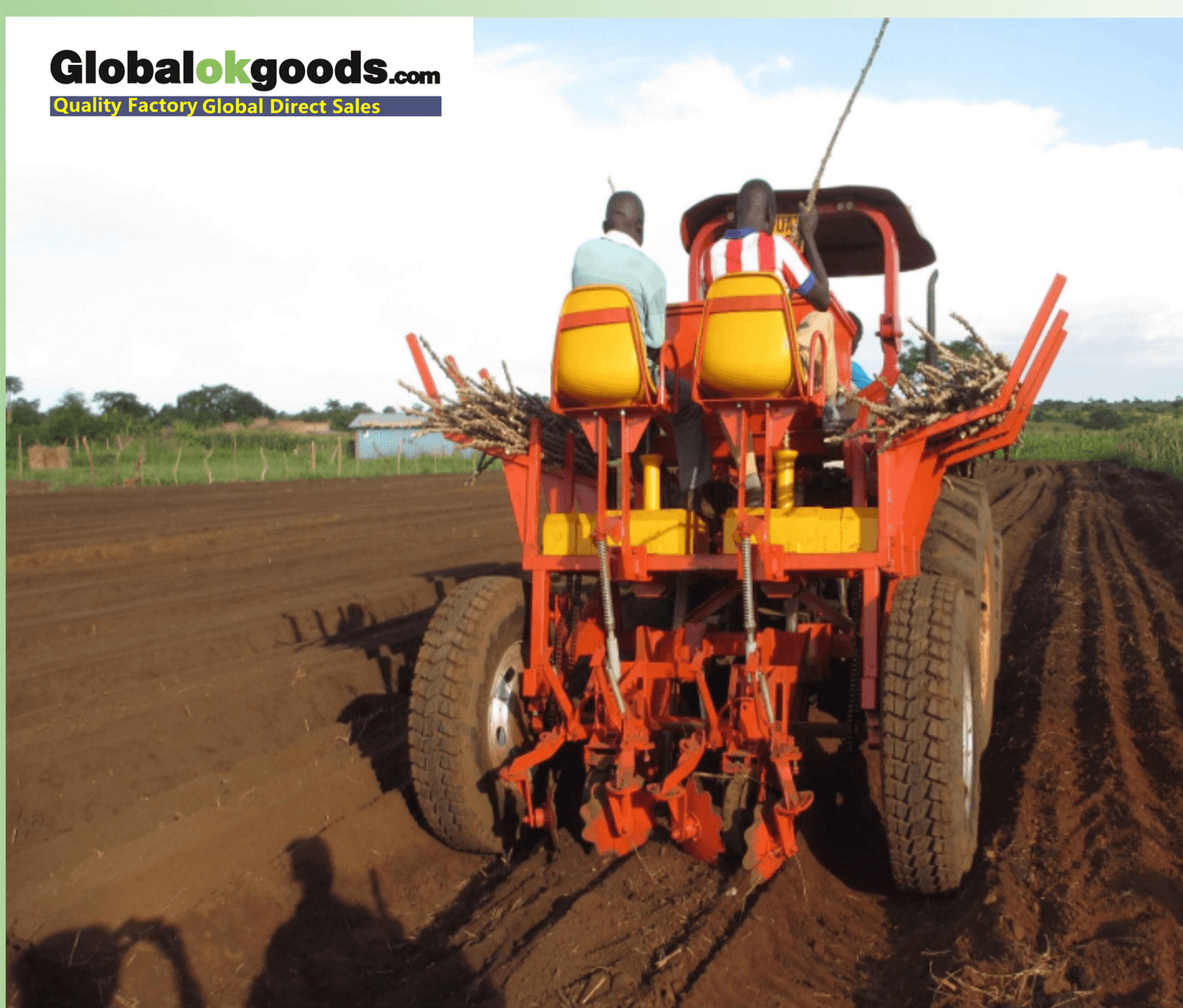 CASSAVA PLANTER-2AMSU(FLAT TYPE)