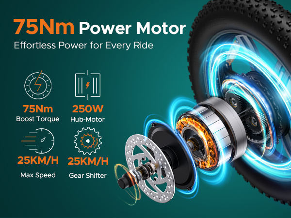 Electric City Bike for Adults EU/UK 250W Power 48V Aluminum Alloy Frame 20 Inch Fat Tires