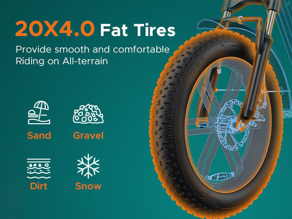 Electric City Bike for Adults EU/UK 250W Power 48V Aluminum Alloy Frame 20 Inch Fat Tires