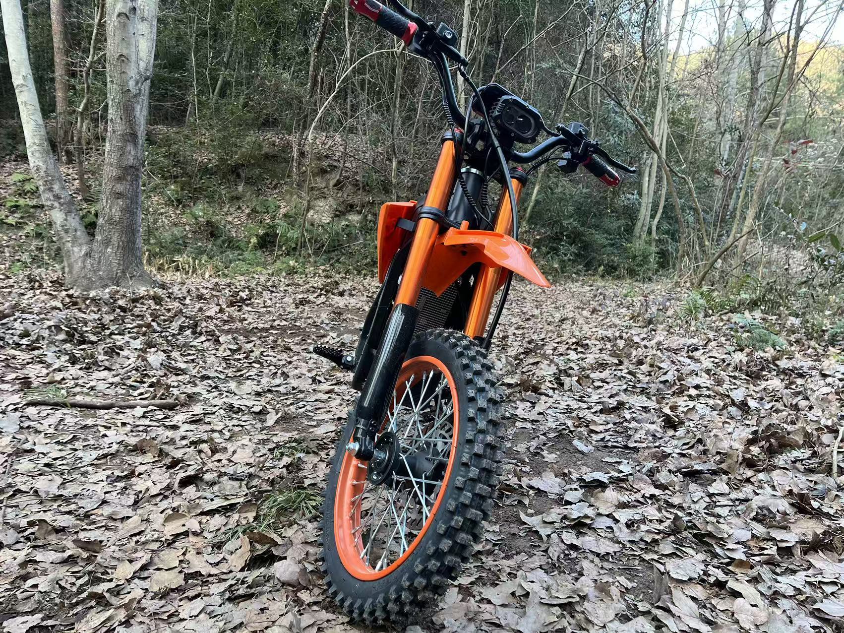 High-Power 60V 6000W Electric Mountain Bike Central Motor Off-Road Vehicle