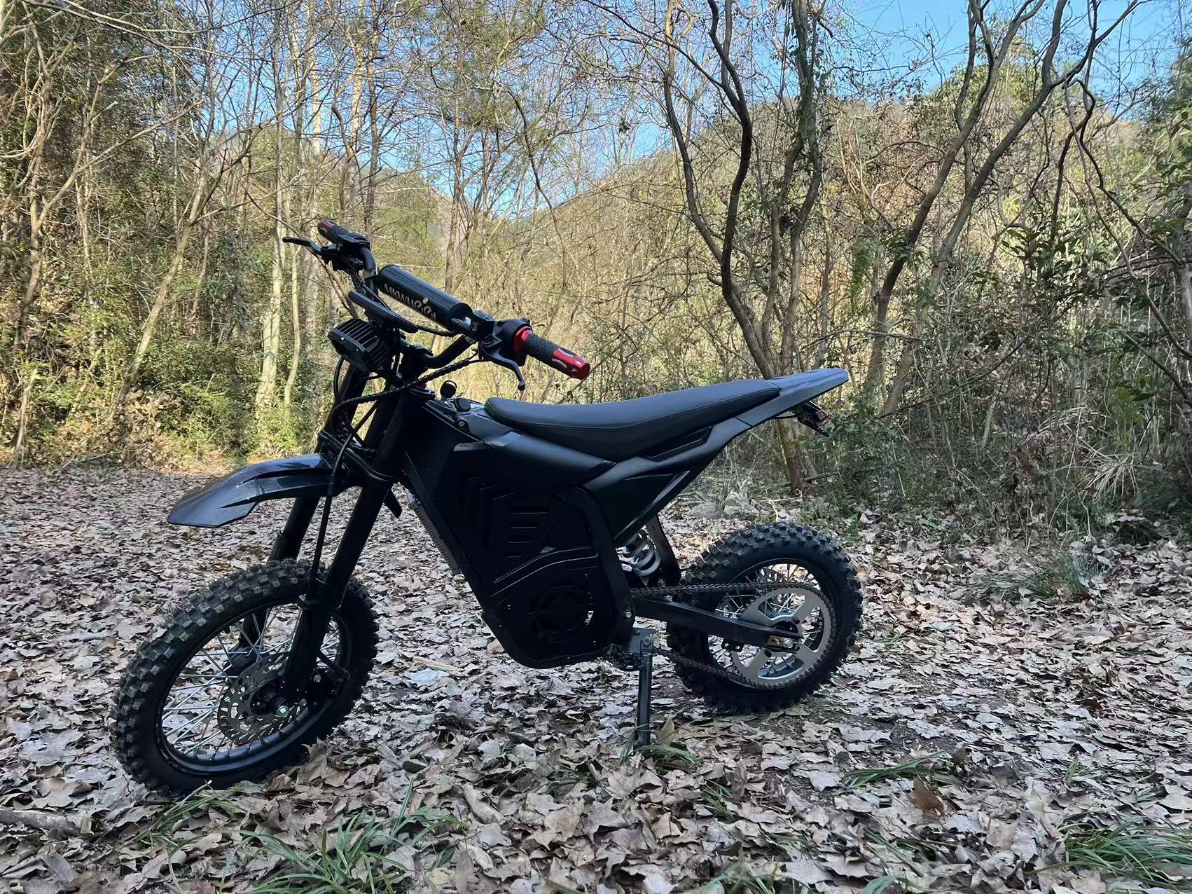 High-Power 60V 6000W Electric Mountain Bike Central Motor Off-Road Vehicle