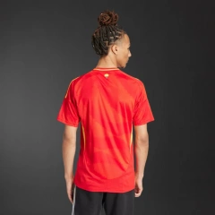 Spain 2025 home Jersey