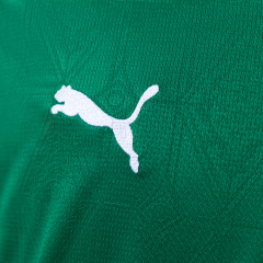Palmeiras 25/26 Home Jersey