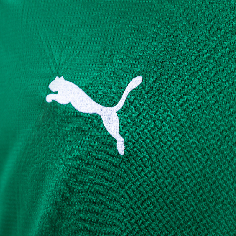 Palmeiras 25/26 Home Jersey
